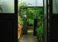 an open door leading to a green house