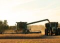 Revitalize Your Soil: Proven Techniques for Healthy and Productive Home Farming