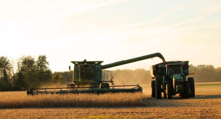 Revitalize Your Soil: Proven Techniques for Healthy and Productive Home Farming