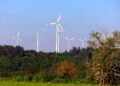 Powering the Future: Harnessing Bioenergy Technologies for Sustainable Home Power Solutions