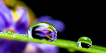 Harvesting Hope: Transforming Communities through Sustainable Watershed Management