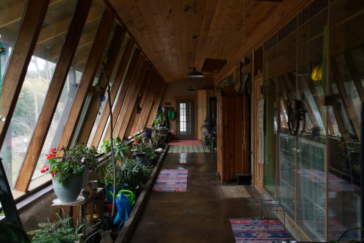 A long hallway with a lot of plants in it