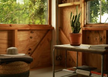 a hat and a potted plant on a table