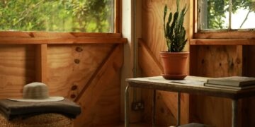 a hat and a potted plant on a table