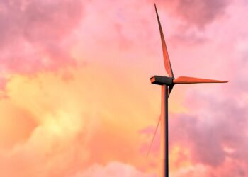 Simplicity for Sustainability: How Minimalism is Revolutionizing Environmental Conservation