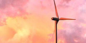 Simplicity for Sustainability: How Minimalism is Revolutionizing Environmental Conservation