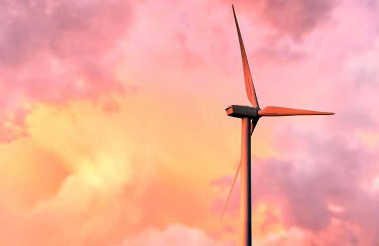 Simplicity for Sustainability: How Minimalism is Revolutionizing Environmental Conservation