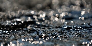 Revolutionizing Your Home: The Best Smart Water Management Systems