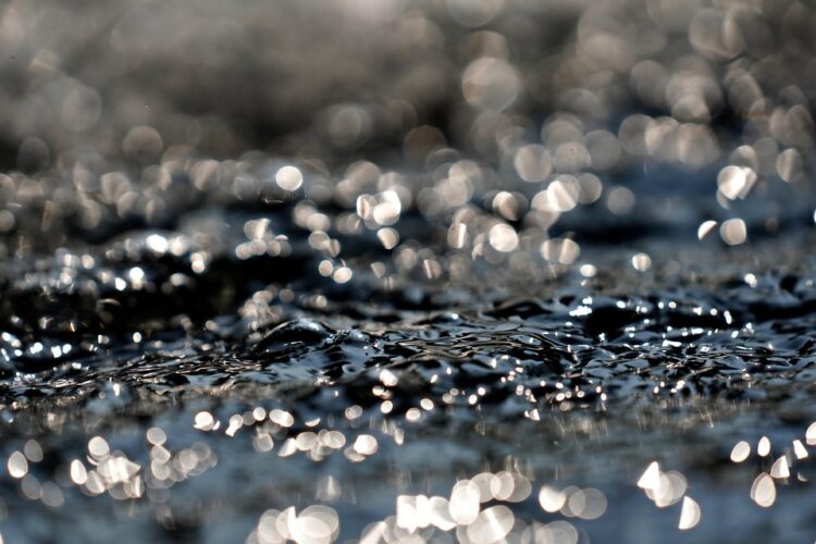 Revolutionizing Your Home: The Best Smart Water Management Systems