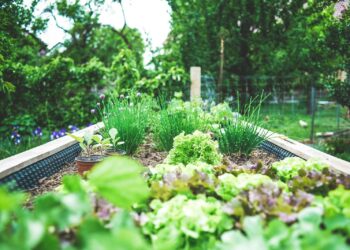 green plants on black metal train rail during daytime