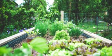 green plants on black metal train rail during daytime