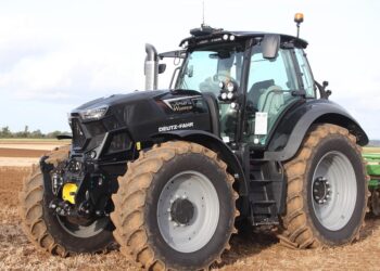 From Farm to Market: Expert Growing Tips for Local Produce Success