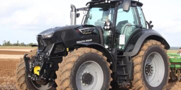 From Farm to Market: Expert Growing Tips for Local Produce Success