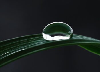 Revolutionizing Rural Water Management: Eco-Friendly Wastewater Solutions for Sustainable Communities