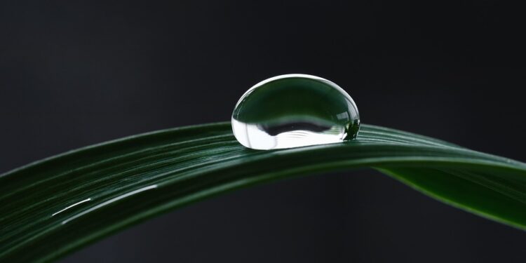 Revolutionizing Rural Water Management: Eco-Friendly Wastewater Solutions for Sustainable Communities