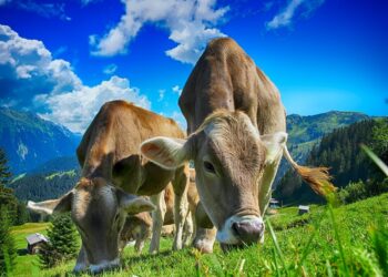 Grow with the Flow: Transforming Your Home Garden with Climate-Smart Agriculture