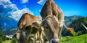 Grow with the Flow: Transforming Your Home Garden with Climate-Smart Agriculture