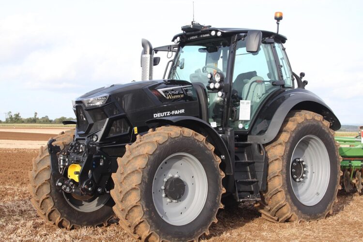 Harvesting Success: Farm-to-Table Growing Tips for Thriving Local Markets