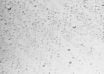 Maximizing Water Efficiency: A Comprehensive Guide to Implementing Drip Irrigation for Sustainable Agriculture