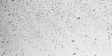 Maximizing Water Efficiency: A Comprehensive Guide to Implementing Drip Irrigation for Sustainable Agriculture