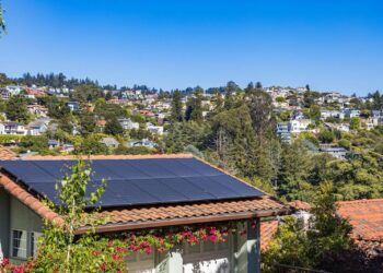 Solar panels on a suburban home, surrounded by lush greenery and a sunny blue sky.
