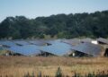 A wide view of solar panels in an open field, showcasing sustainable energy solutions.