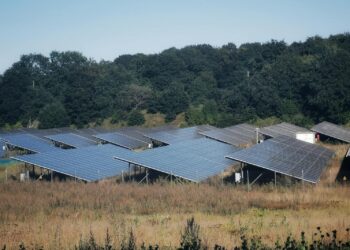 A wide view of solar panels in an open field, showcasing sustainable energy solutions.