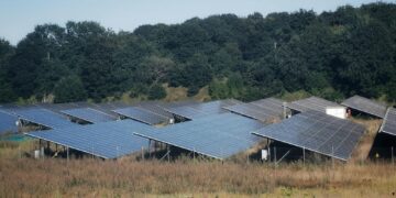 A wide view of solar panels in an open field, showcasing sustainable energy solutions.