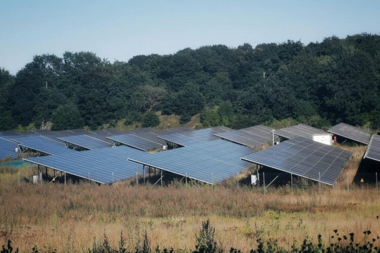 A wide view of solar panels in an open field, showcasing sustainable energy solutions.