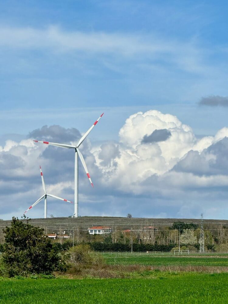 Two wind turbines in a countryside setting with a dramatic cloudy sky.