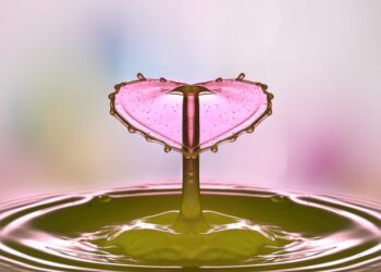 Reviving Our Water Supply: Innovative Aquifer Recharge Techniques for Sustainable Conservation