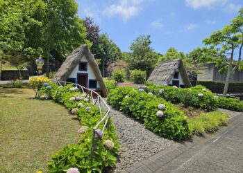 a row of thatched roofed houses in a garden