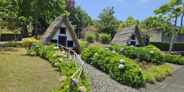 a row of thatched roofed houses in a garden