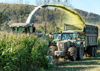 Tractor and harvester working in a lush cornfield under a bright day in Holzminden, Germany.
