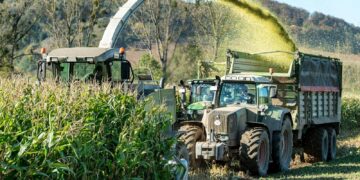 Tractor and harvester working in a lush cornfield under a bright day in Holzminden, Germany.