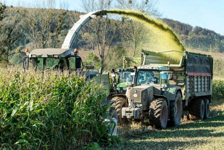 Tractor and harvester working in a lush cornfield under a bright day in Holzminden, Germany.