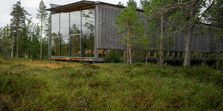 A contemporary wooden cabin with glass facade nestled in a forest landscape.