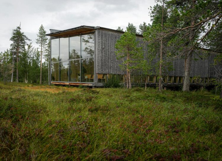A contemporary wooden cabin with glass facade nestled in a forest landscape.