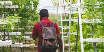 A man with a backpack in a lush greenhouse practicing vertical gardening.