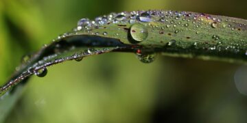 Thirsty for Change: Innovative Sustainable Solutions for Water Scarcity in Drought-Stricken Regions