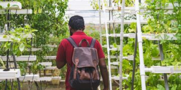 A man with a backpack in a lush greenhouse practicing vertical gardening.