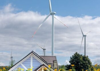 Vertical photo of wind turbines amidst sunflowers and a cottage below a blue sky.
