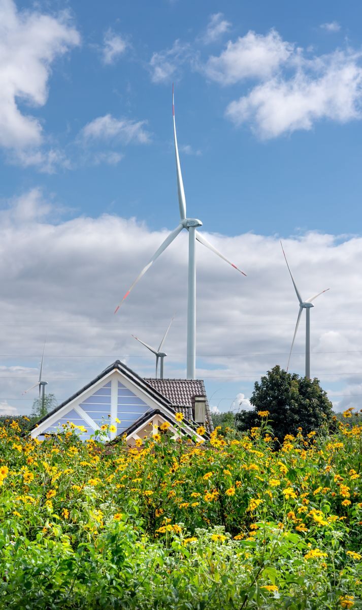 Vertical photo of wind turbines amidst sunflowers and a cottage below a blue sky.