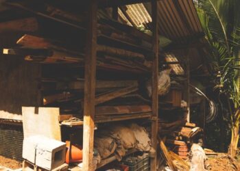 Rustic outdoor storage area with logs and building materials, set in a sunny garden.