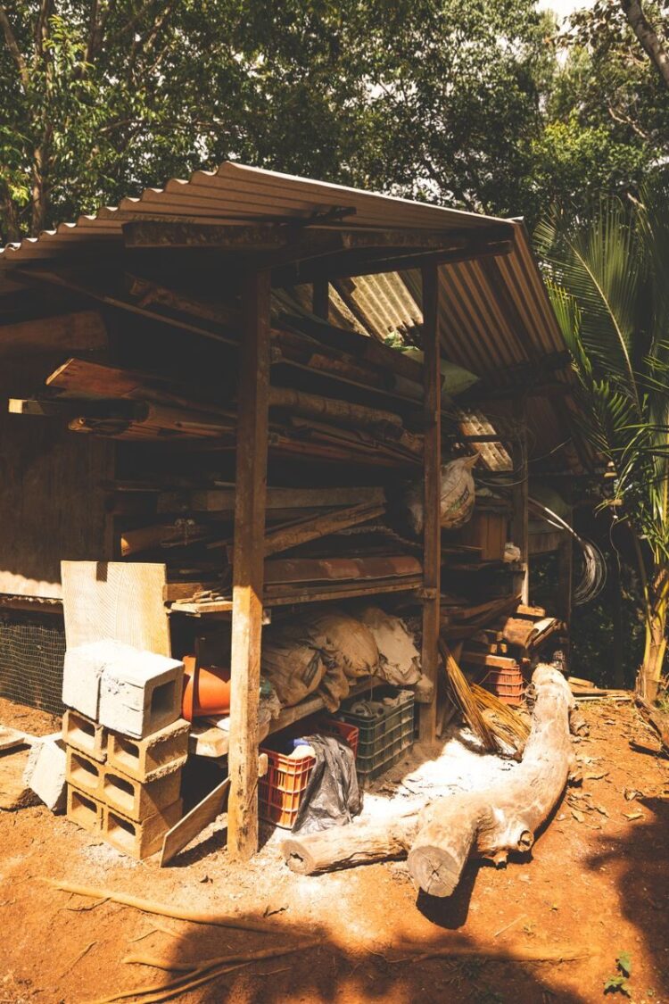 Rustic outdoor storage area with logs and building materials, set in a sunny garden.