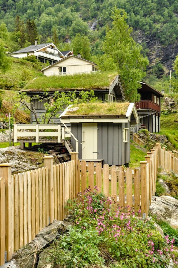 Picturesque view of traditional green-roofed houses surrounded by lush greenery and wooden fencing.