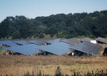 A wide view of solar panels in an open field, showcasing sustainable energy solutions.