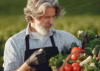 Elderly farmer holding a basket of fresh vegetables in a field on a sunny day.
