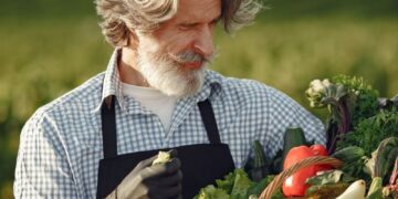 Elderly farmer holding a basket of fresh vegetables in a field on a sunny day.