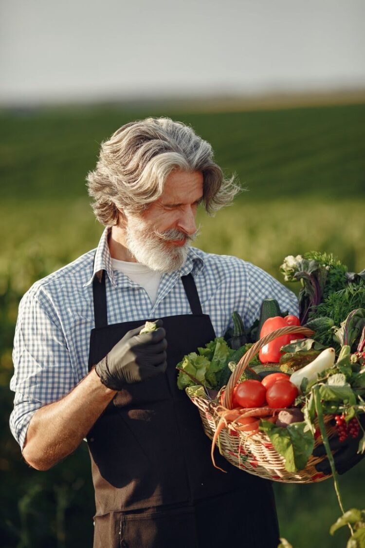 Elderly farmer holding a basket of fresh vegetables in a field on a sunny day.